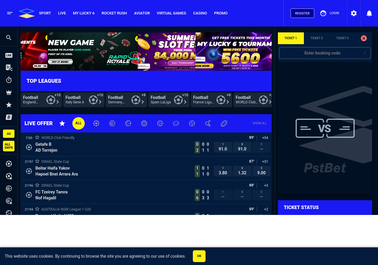 Captured Namibia-facing service interface on the exact local domain